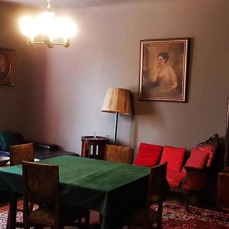 Josephine Central Villa & Garden Cluj-Napoca Eksteriør billede