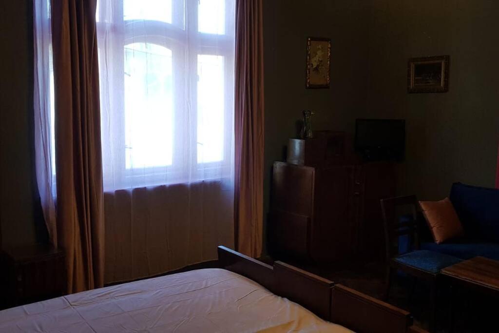 Josephine Central Villa & Garden Cluj-Napoca Eksteriør billede