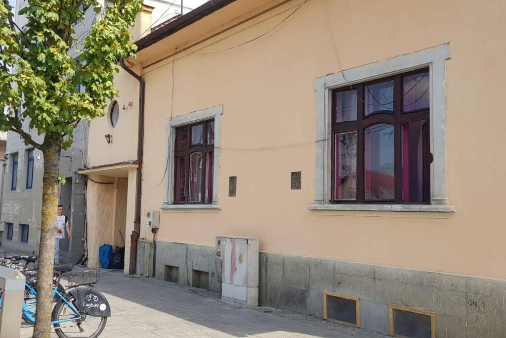 Josephine Central Villa & Garden Cluj-Napoca Eksteriør billede